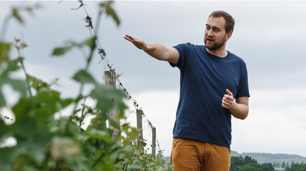 Михаил Николаев на виноградниках Долины Лефкадия Михаил Николаев на виноградниках Долины Лефкадия