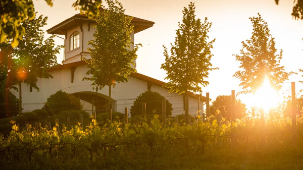 Винодельня Долина Лефкадия Винодельня Долина Лефкадия