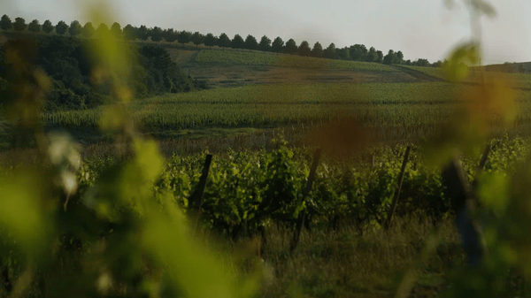 Долина Лефкадия Долина Лефкадия