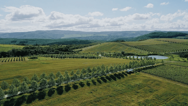 Долина Лефкадия Долина Лефкадия