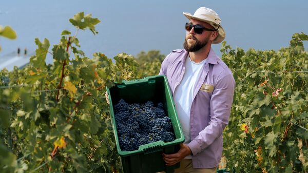 WinePark WinePark