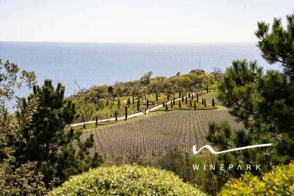 WINEPARK WINEPARK